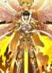 sss-rank-paladin-who-transcends-common-sense